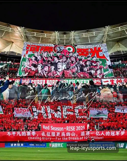乐鱼体育平台怎么下载 揭秘民主刚果52年圆梦路:绝杀背后的战术博弈与球迷观赛新选择